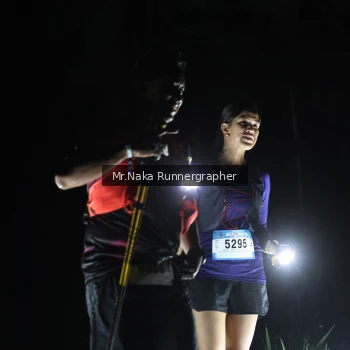 Runner Photo 1179475