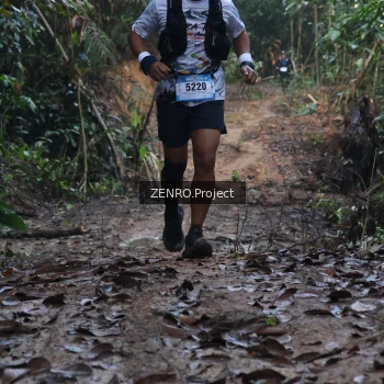 Runner Photo 1179555
