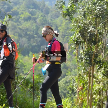 Runner Photo 1179986