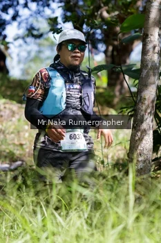 Runner Photo 11801