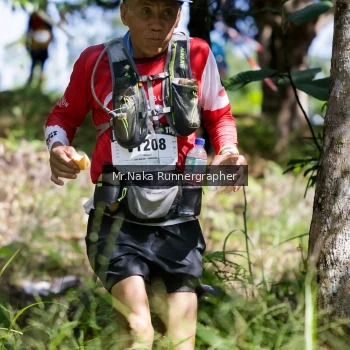 Runner Photo 11803