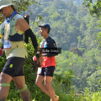 Runner Photo 1180400
