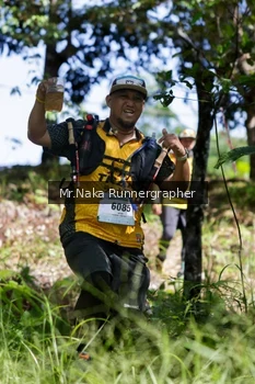 Runner Photo 11808