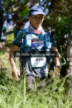 Runner Photo 11812