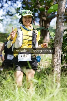 Runner Photo 11839