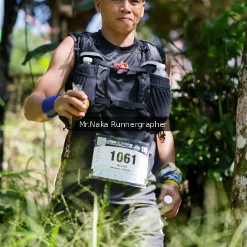 Runner Photo 11840