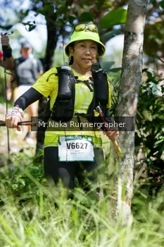 Runner Photo 11864
