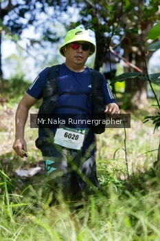 Runner Photo 11880
