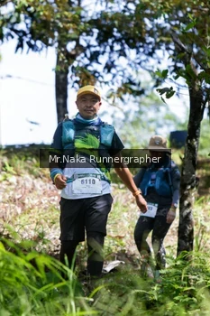 Runner Photo 11886