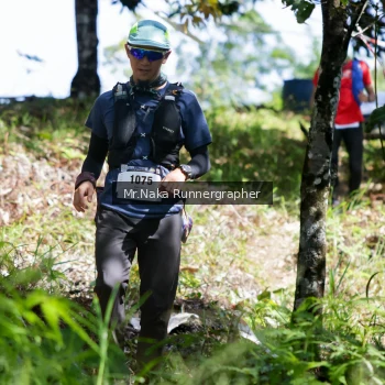 Runner Photo 11896