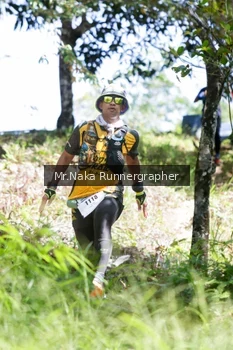 Runner Photo 11928