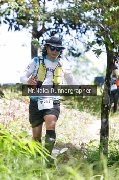 Runner Photo 11936