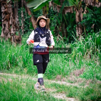 Runner Photo 1195222
