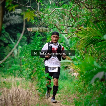 Runner Photo 1195442