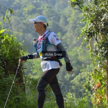 Runner Photo 1196129