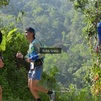 Runner Photo 1196205
