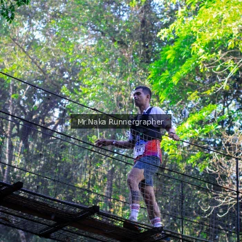 Runner Photo 1196708
