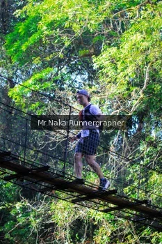 Runner Photo 1196721