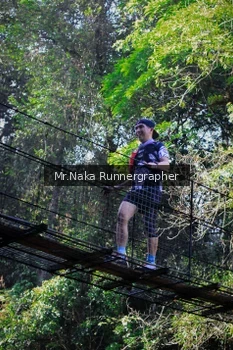 Runner Photo 1196753