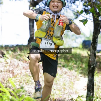 Runner Photo 11990