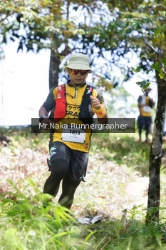 Runner Photo 12005