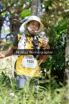 Runner Photo 12008