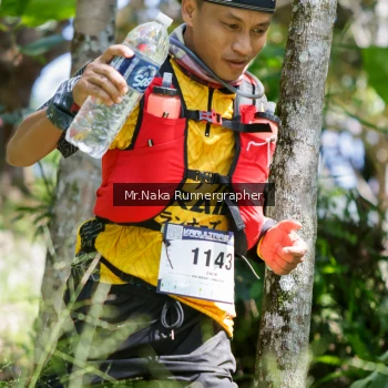 Runner Photo 12012