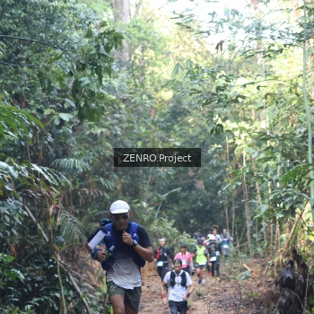 Runner Photo 1206587