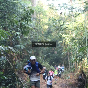 Runner Photo 1206588