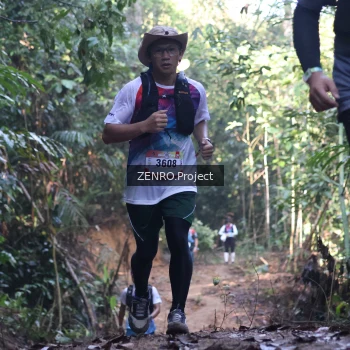 Runner Photo 1207885