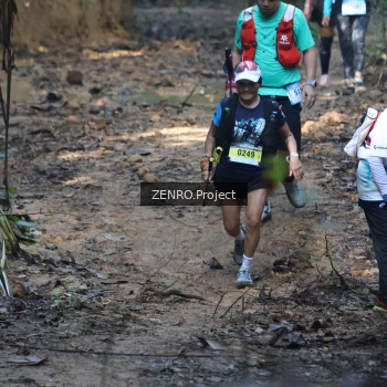 Runner Photo 1208457