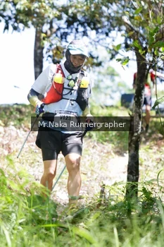 Runner Photo 12089