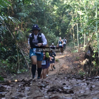 Runner Photo 1209055