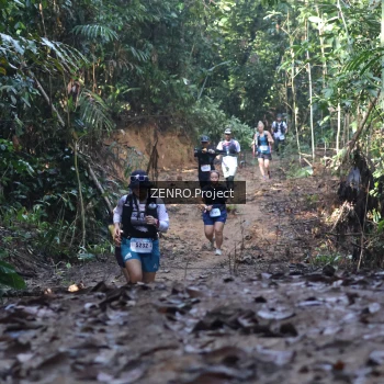 Runner Photo 1209057