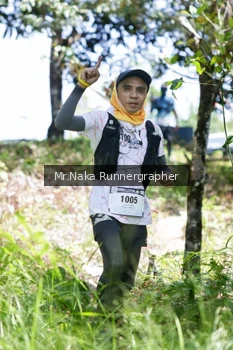 Runner Photo 12103
