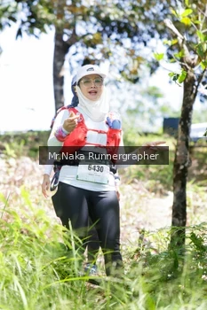 Runner Photo 12128