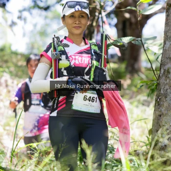 Runner Photo 12144