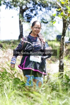 Runner Photo 12159