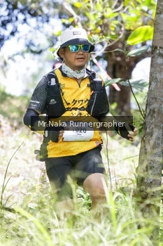 Runner Photo 12164