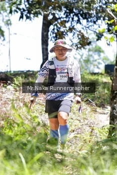 Runner Photo 12173