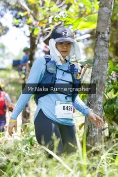 Runner Photo 12207