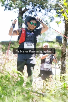 Runner Photo 12218