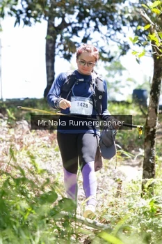 Runner Photo 12225