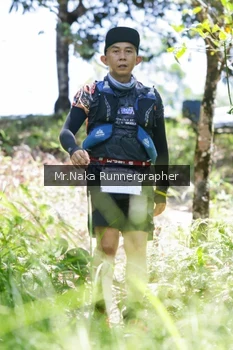 Runner Photo 12228