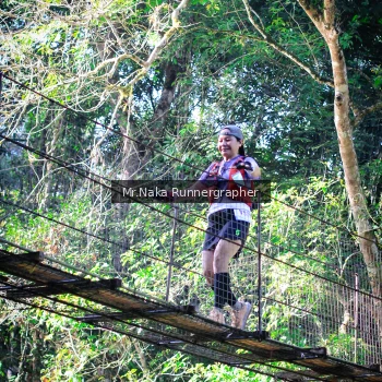 Runner Photo 1224432