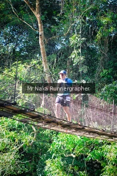 Runner Photo 1224501