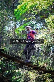 Runner Photo 1227161