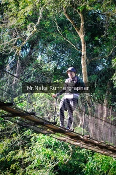 Runner Photo 1227173