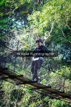 Runner Photo 1227174