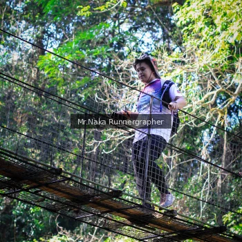 Runner Photo 1228500